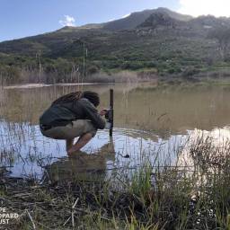 Aquatic camera servicing